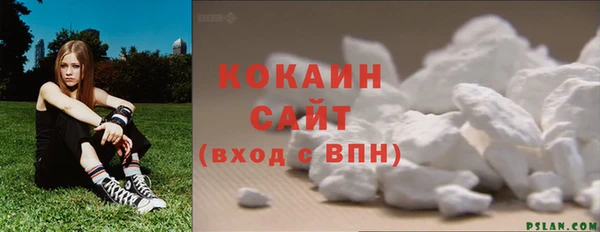стафф Гусев