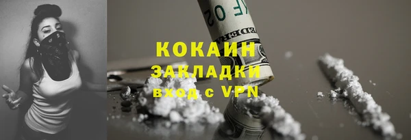 стафф Гусев