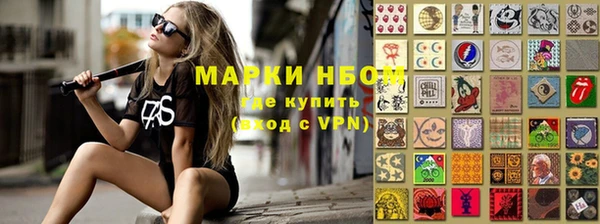 шишки Горняк