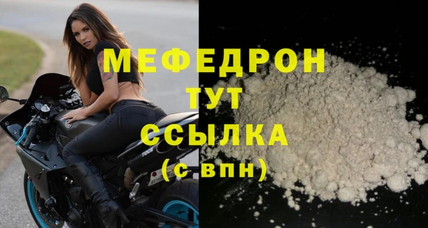 индика Сясьстрой