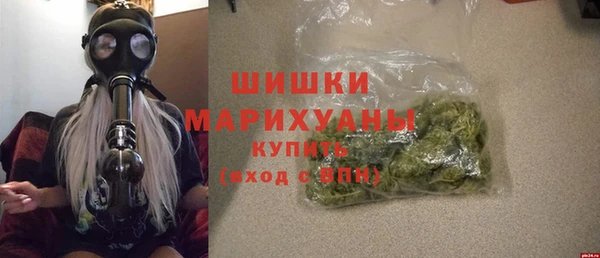 индика Сясьстрой