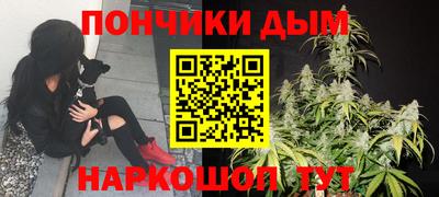 спайс Гай