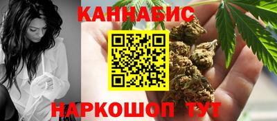 индика Бийск
