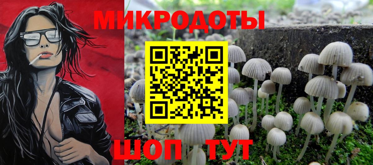 Псилоцибиновые грибы мицелий Воркута