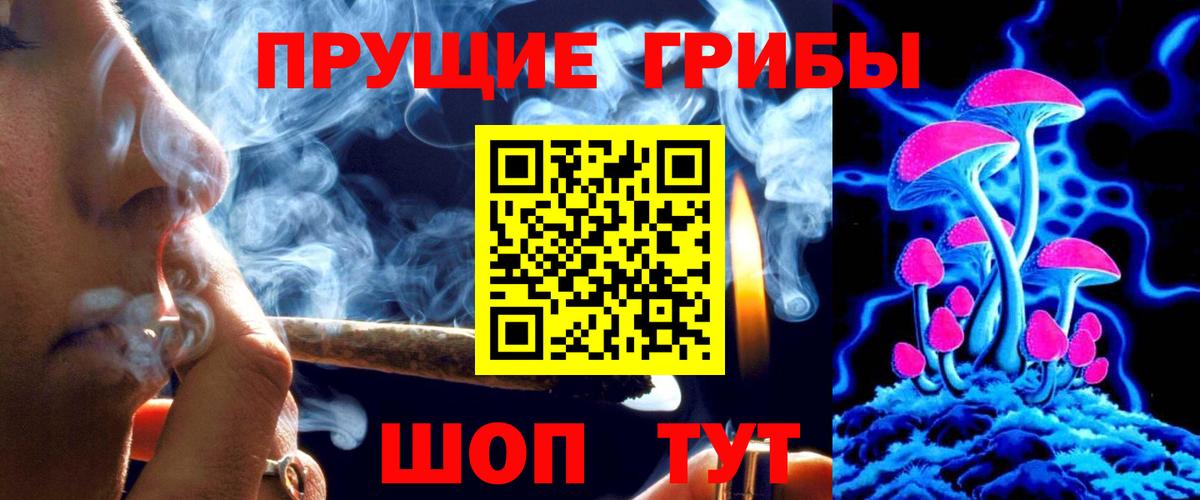 Псилоцибиновые грибы Cubensis  Воркута 