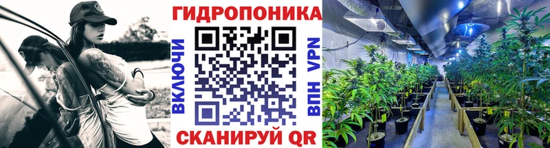 Бошки марихуана VHQ  купить наркотик  Воркута 